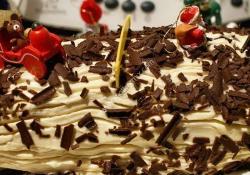 Tiramisu christmas log thermomix